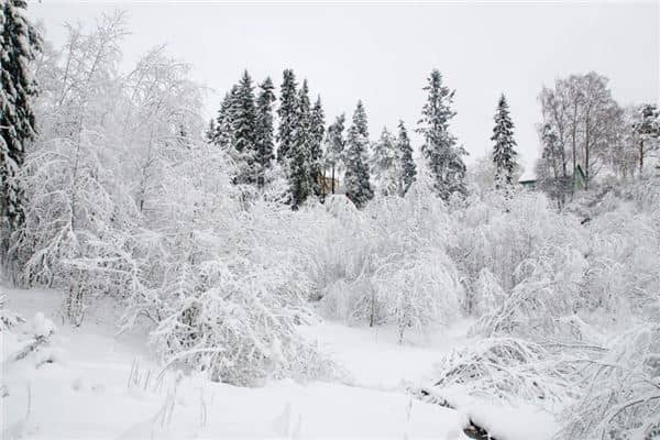 梦见雪地里行走