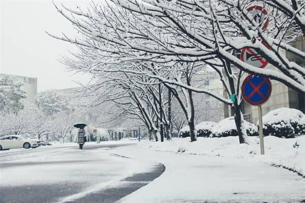 梦见飘雪花