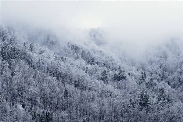 梦见下雪是什么征兆周公解梦是什么意思
