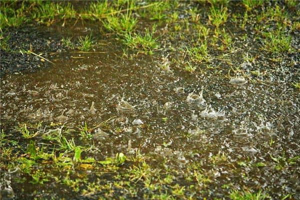周公解梦梦见下雨是什么意思