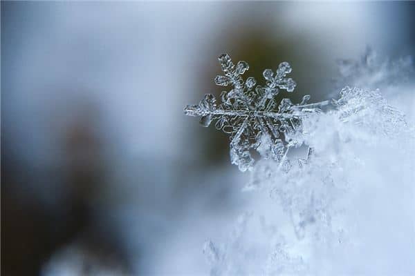 梦见白雪覆盖大地是什么意思