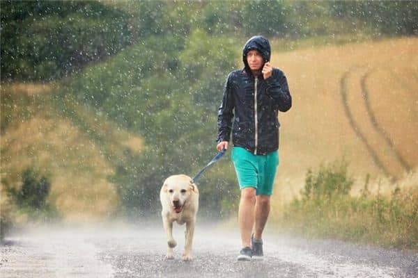 男人梦见下雨是什么意思