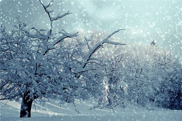 梦到下雪了是什么意思