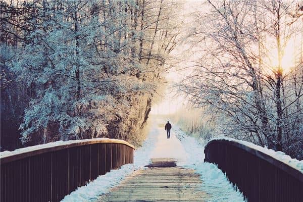 梦见白雪茫茫一片是什么意思