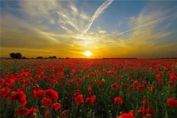 梦见日落是什么意思