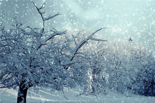 梦见下雪了周公解梦是什么意思