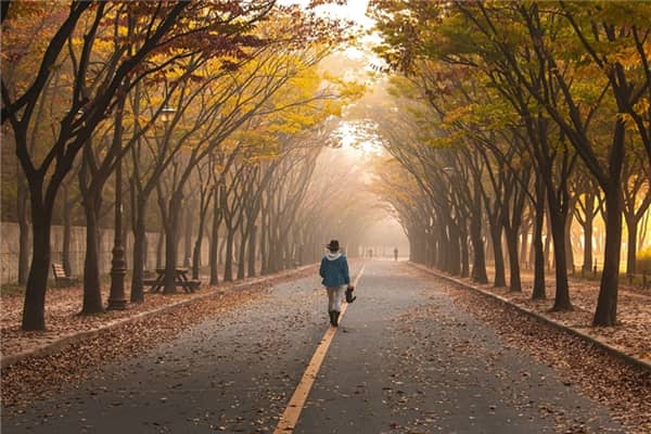 梦见无路可走有一盏灯照着有什么寓意吗？