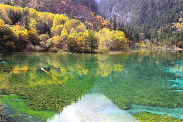 梦见清澈见底的湖水预兆了什么吗