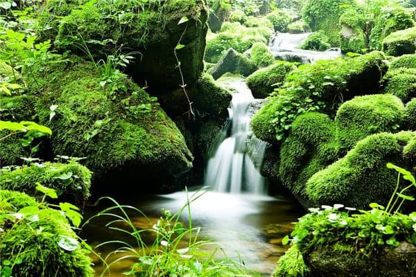 梦见水到流怎么样