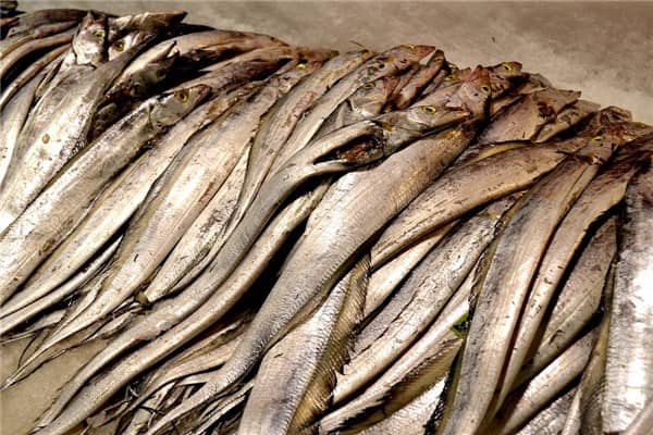 梦到带魚是什么预兆？