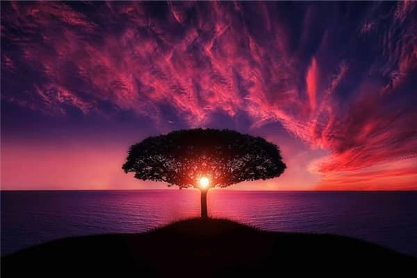 梦见天空奇观怎么样