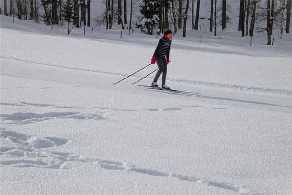 梦见雪坡会怎么样