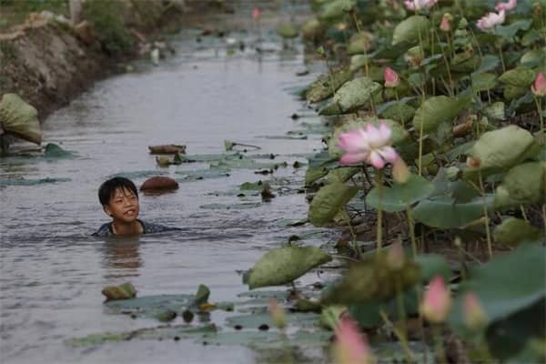 梦到在洪水中游泳有什么说法