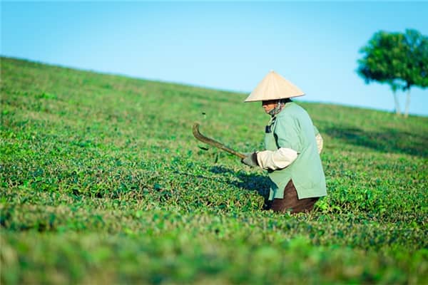 梦见别人劳动有什么征兆