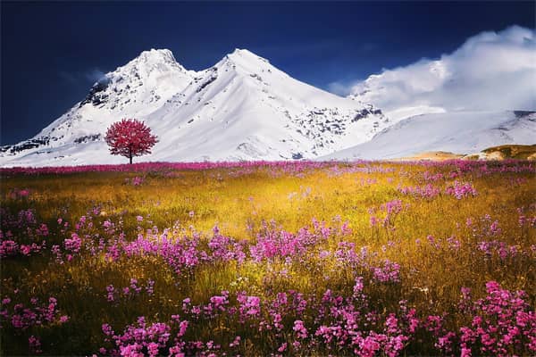 梦到山顶有雪什么预兆