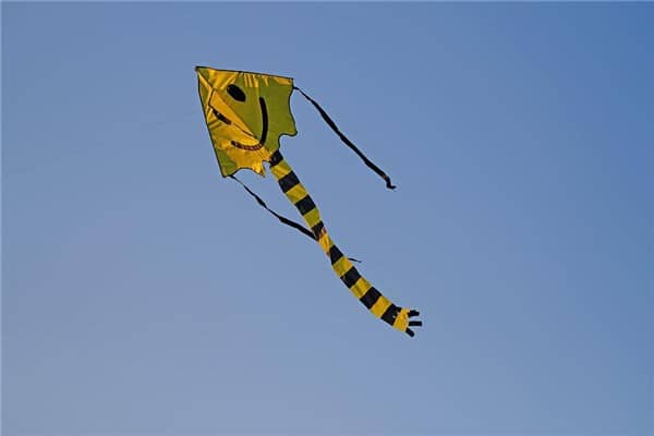 梦到飞蛇意味着什么