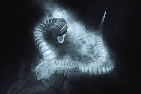 梦到了蛇钻被窝会是什么预兆