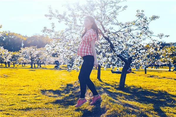 梦见少女怀孕会怎么样