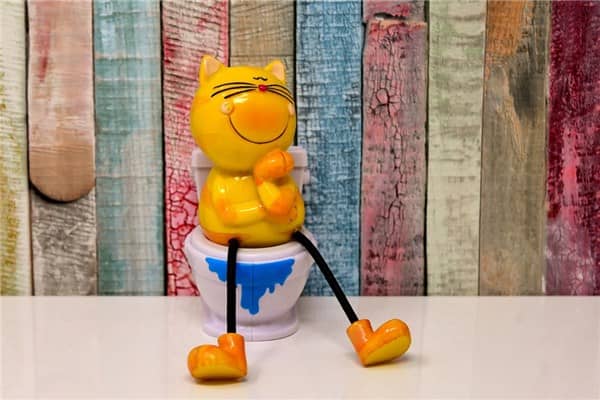 梦见马桶里有屎代表着什么？