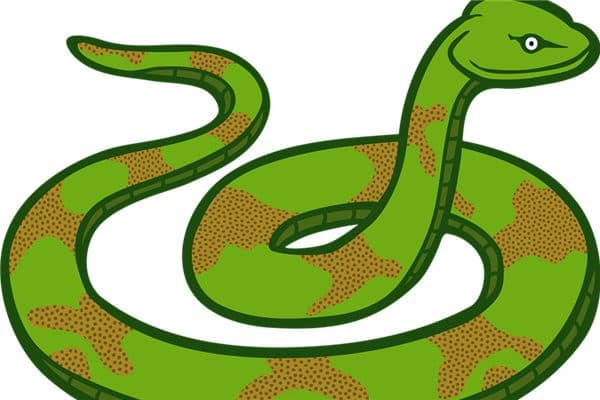 梦到蛇跟着我怎么回事