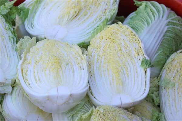 梦见很多白菜