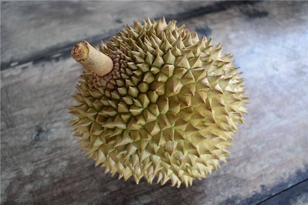 梦到摘榴莲预兆了什么吗
