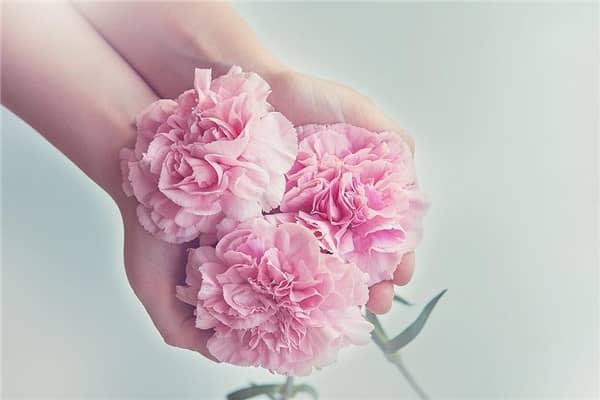 梦到摘鲜花代表着什么