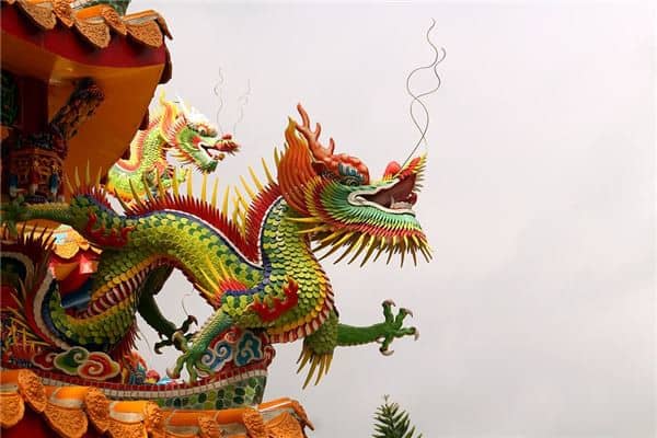 梦到木龙是什么征兆