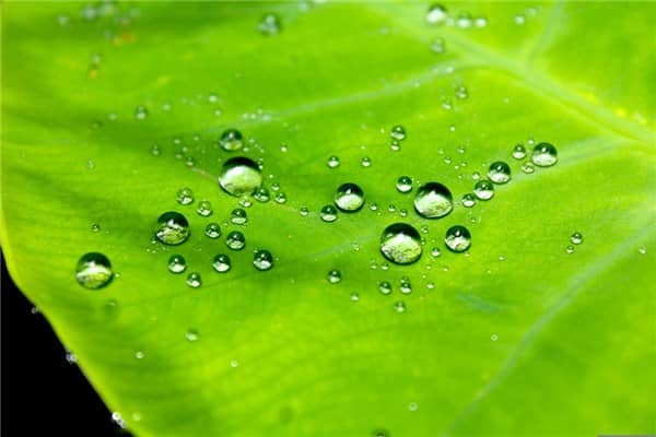 梦到了防水是什么征兆