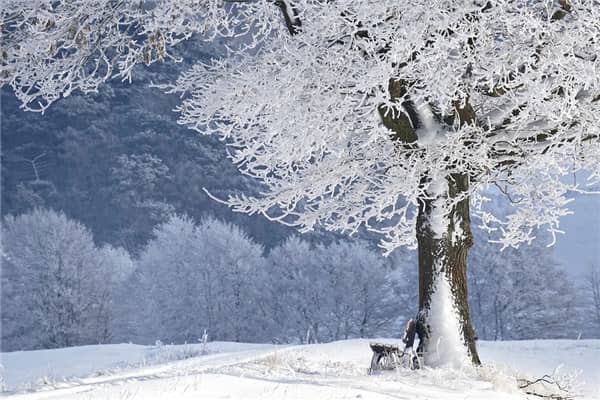 梦见落雪意味着什么