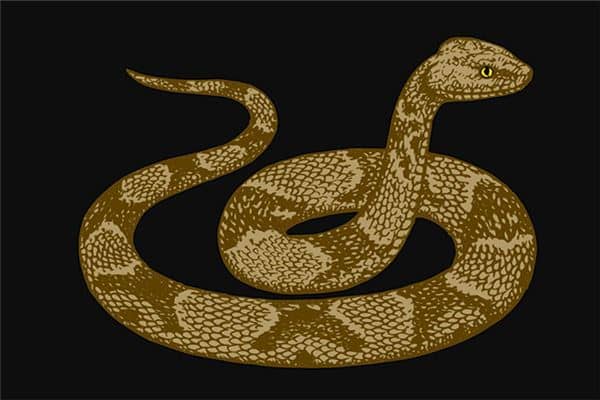 梦到能到蛇是好事还是坏事