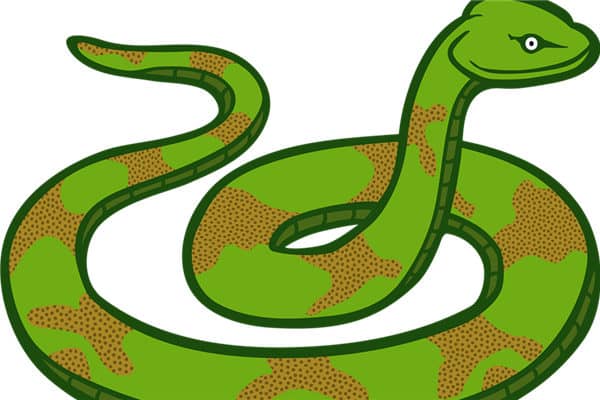 梦到蛇没头是啥预兆