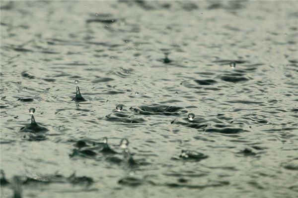 梦到雨滴是什么预兆