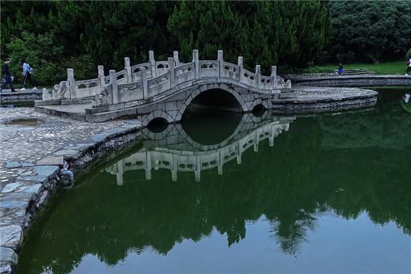 梦见大水塘有什么预兆