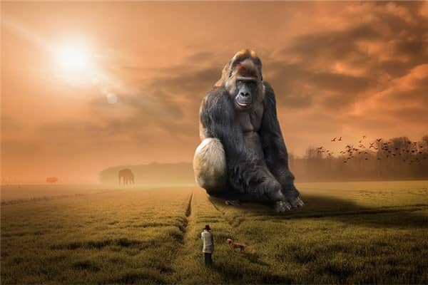 梦到巨大预示了什么