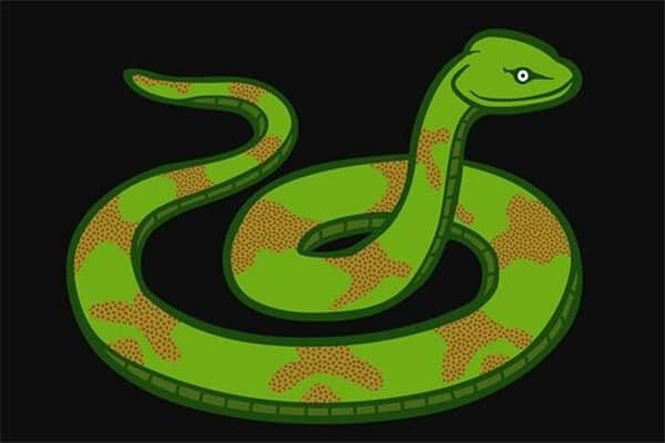 梦到母蛇是好的征兆吗