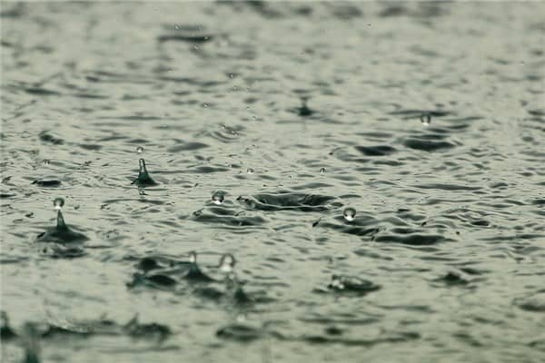 梦见下雨水预示着什么