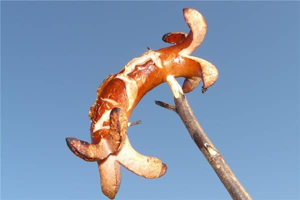 梦到了肠癌意味着什么