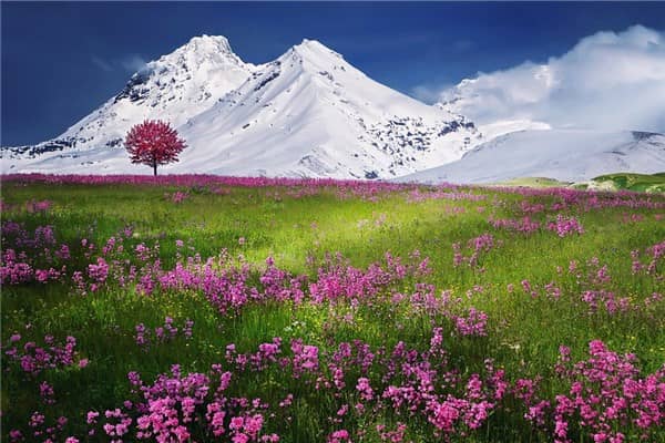 梦到大雪山是啥意思