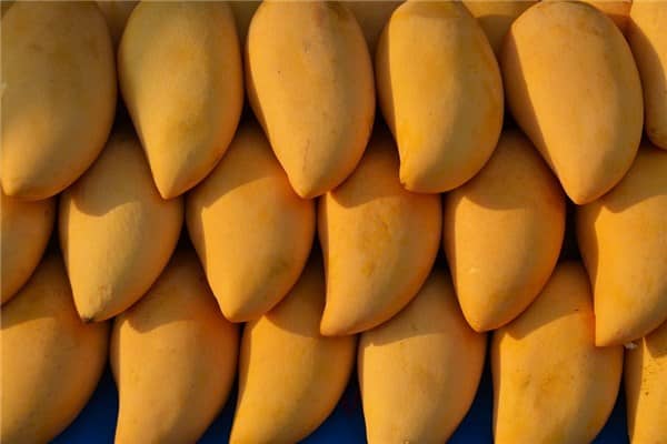 梦到卖芒果代表什么