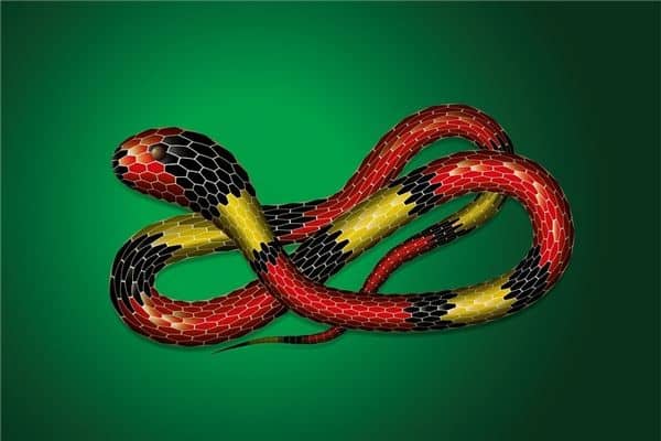 梦到蛇追着咬有什么预兆