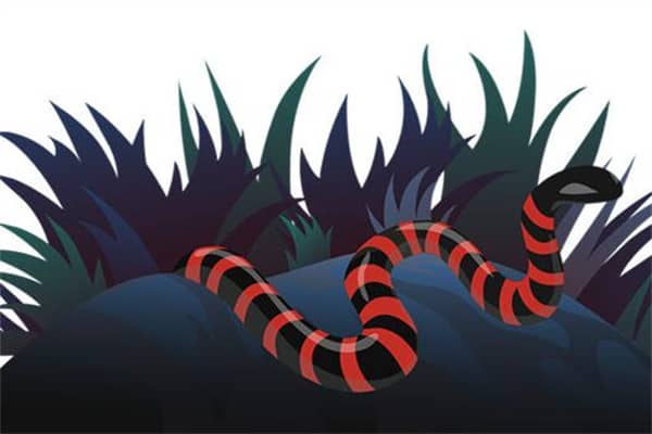 梦到了红色大蛇有什么征兆