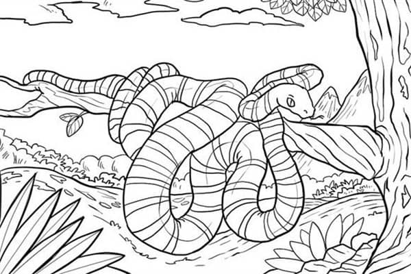 梦到了白花蛇有什么寓意吗