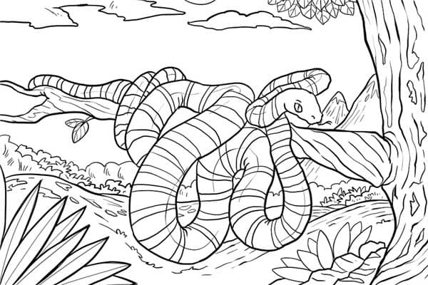 梦到了大白蛇有什么寓意吗?