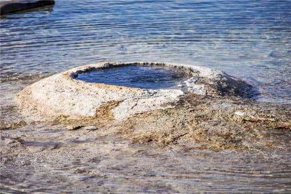 梦见掉粪坑里了