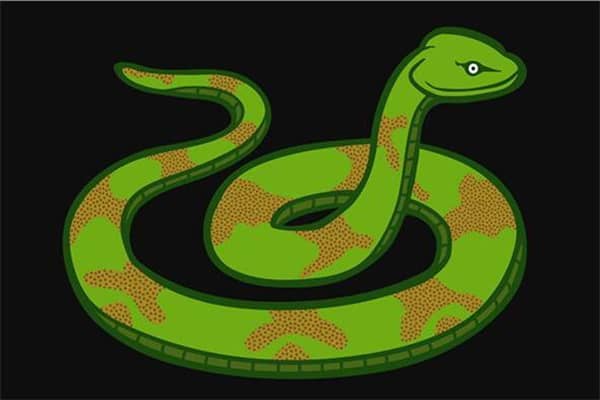 梦见断头蛇是什么意思?