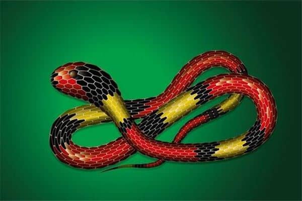 梦到了路上有蛇有什么征兆