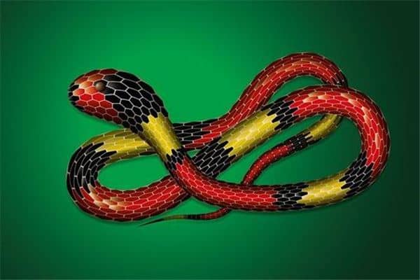 梦到蛇缠身怎么回事