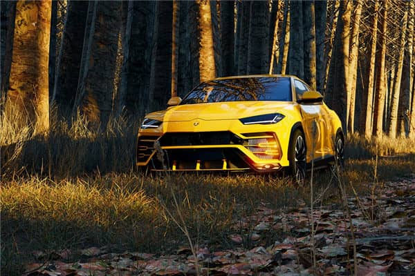 梦到了汽车被偷了怎么样