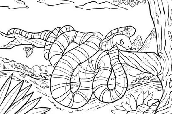 梦到了白色蛇怎么样